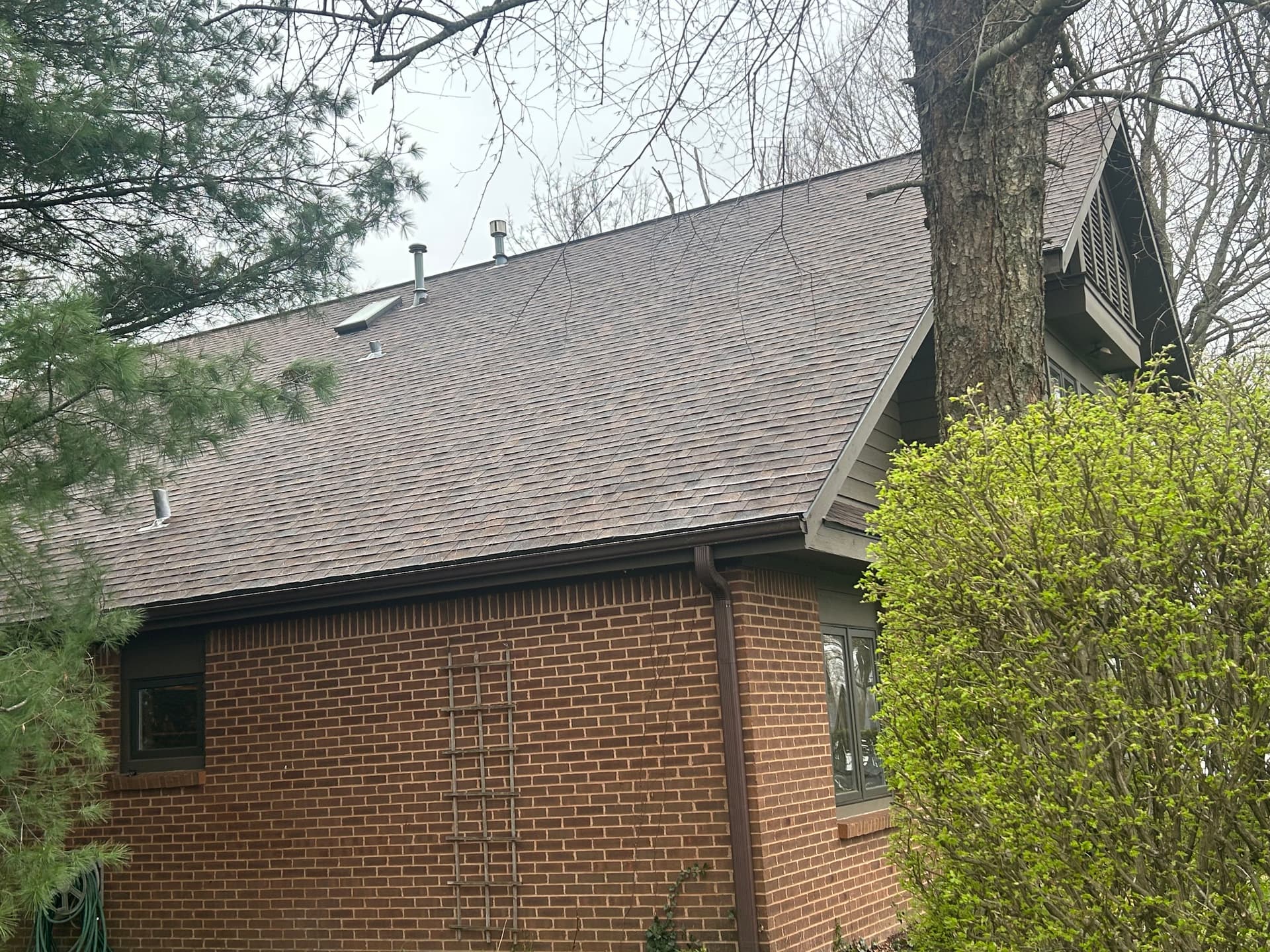 Gallery photos for Top-Notch Roof Replacement for a Classic Home: Image #2